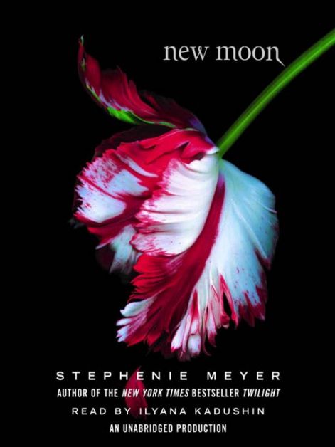 new_moon_book_cover1.jpg